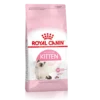 royal canin kitten