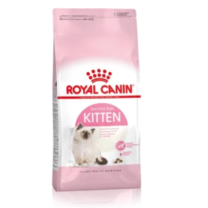 royal canin kitten